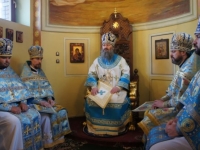 Служение Митр. Павла 2015