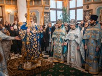 Служба с Митрополитом Павлом. 8.01.2022г.