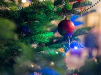 новогодняя литургияю. 2022